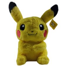 Pikachu Pokémon